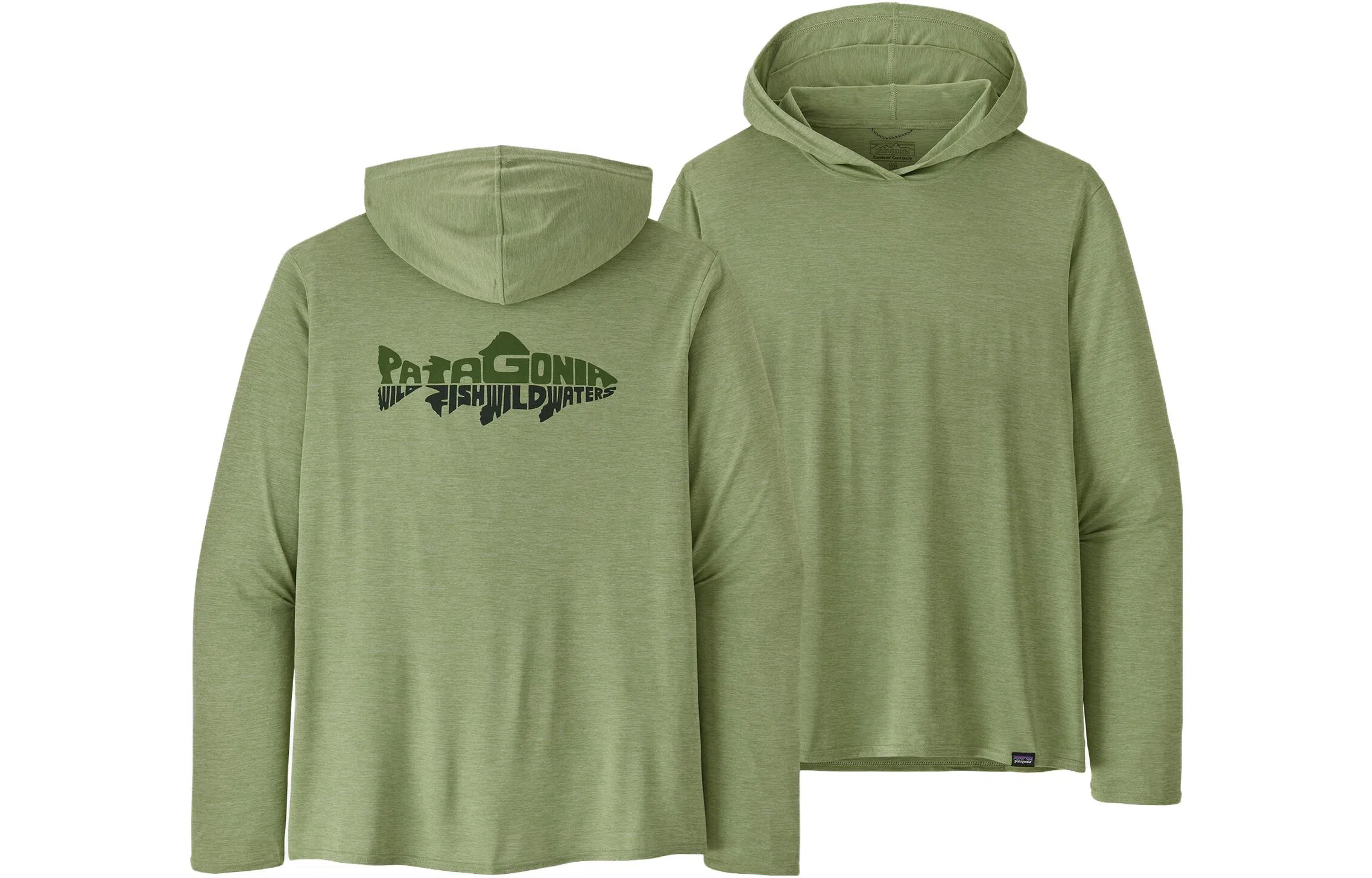 patagonia T