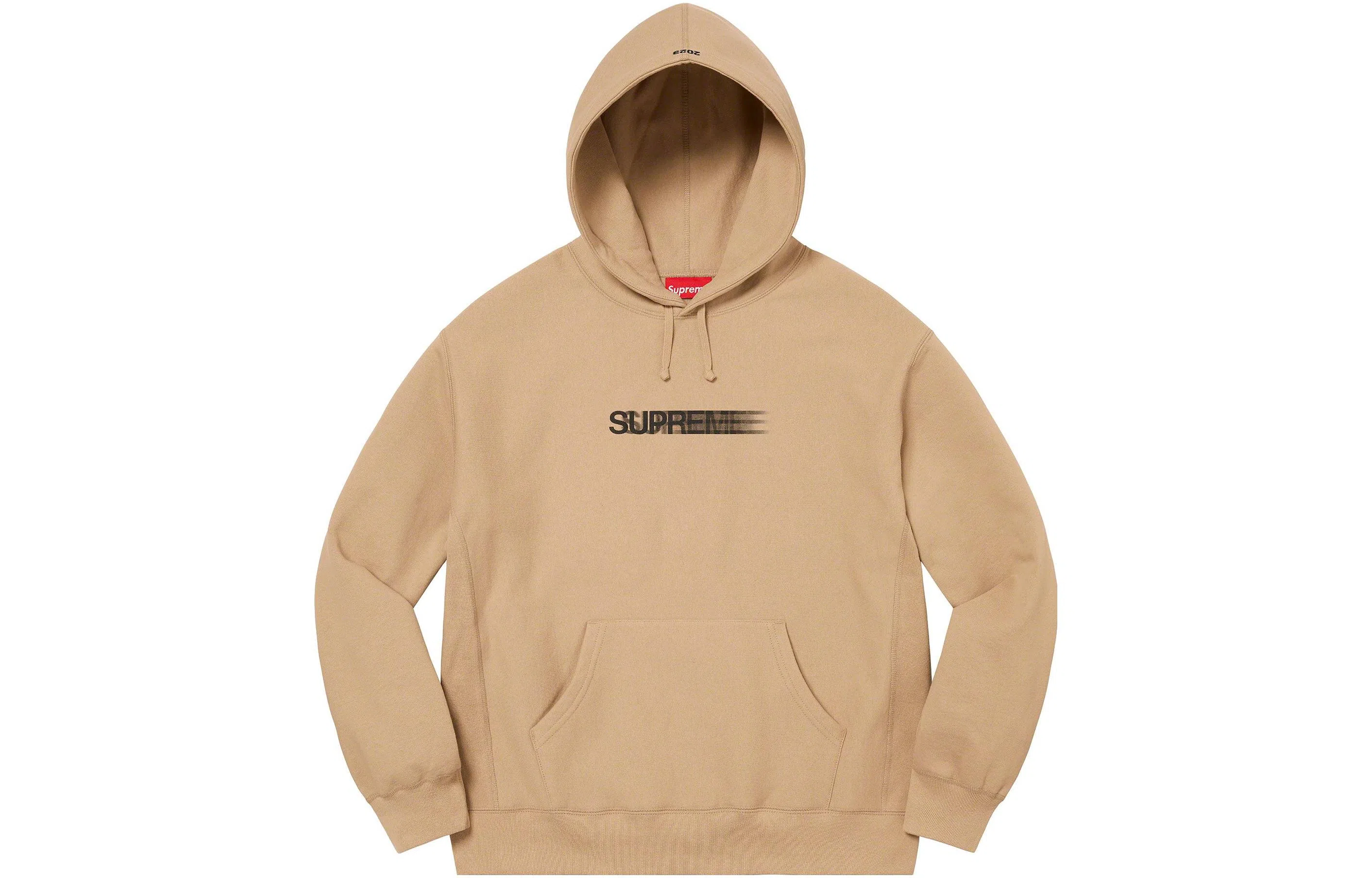 Supreme Motion Logo Hooded Sweatshirt
