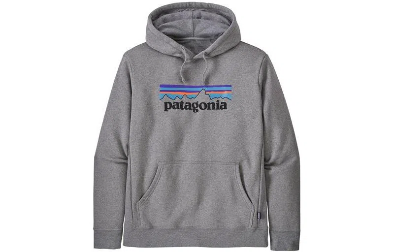 Patagonia Logo Hoodie