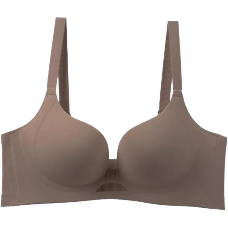 黛尔佳人 小胸聚拢显大上托防下垂文胸 女款