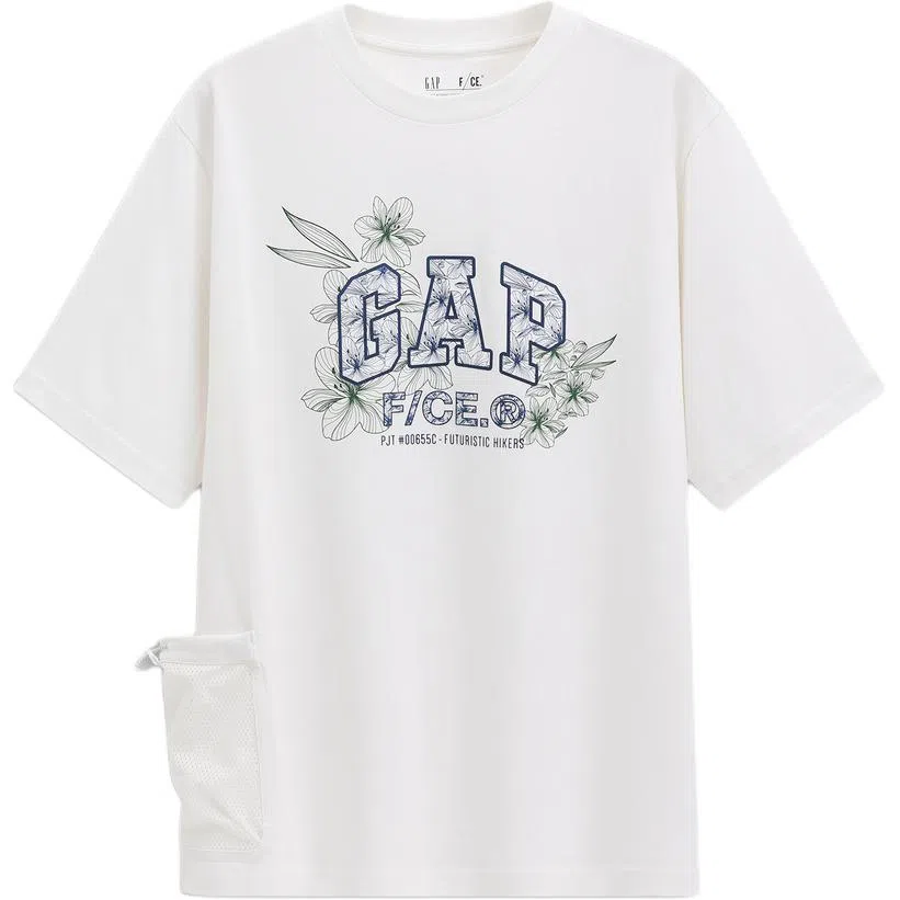 GAP FCE logoT