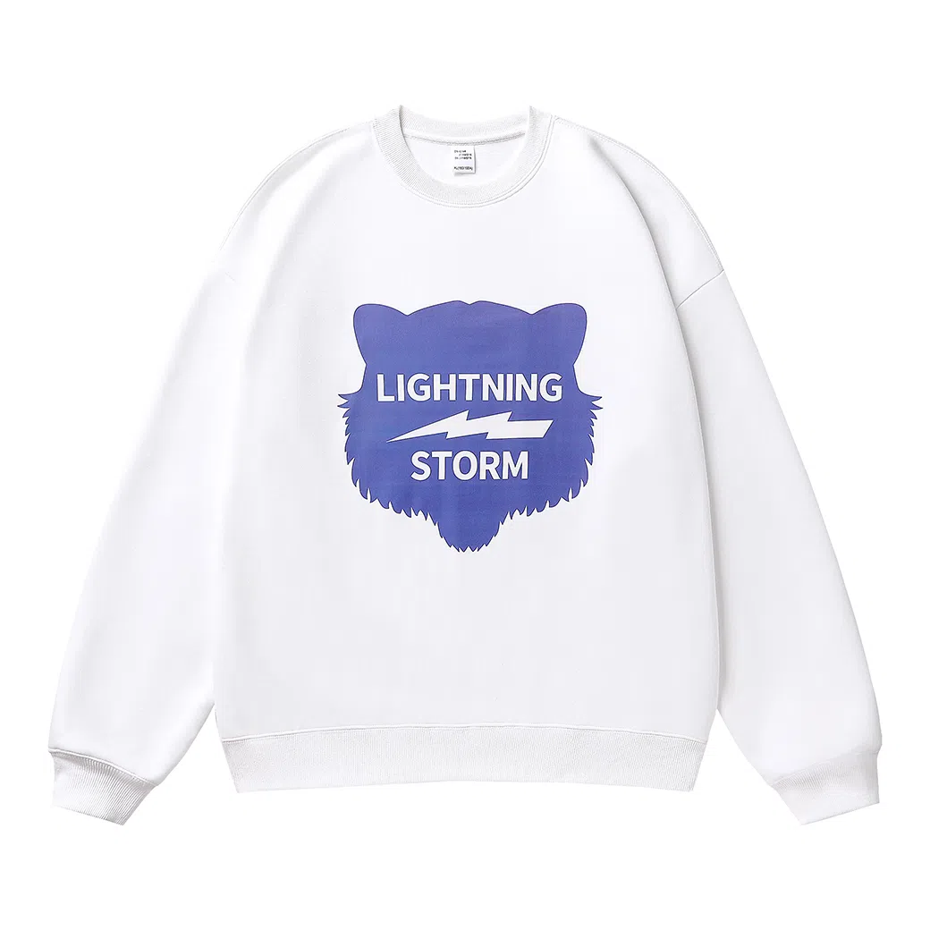 Lightning X Storm Logo