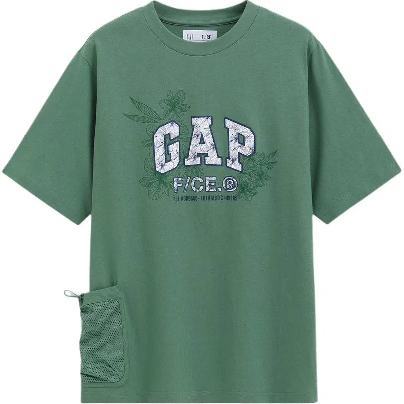 GAP FCE logoT
