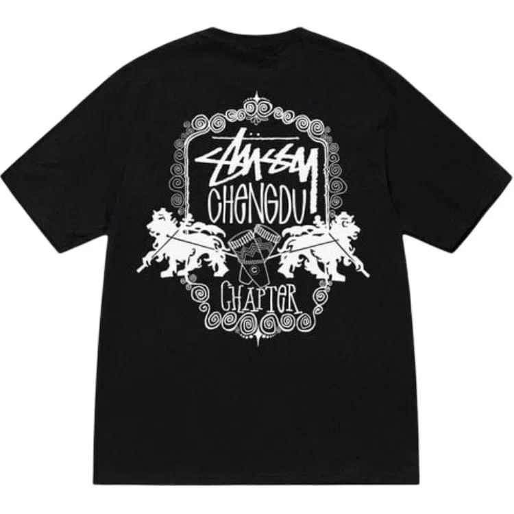 Stussy FW24 T
