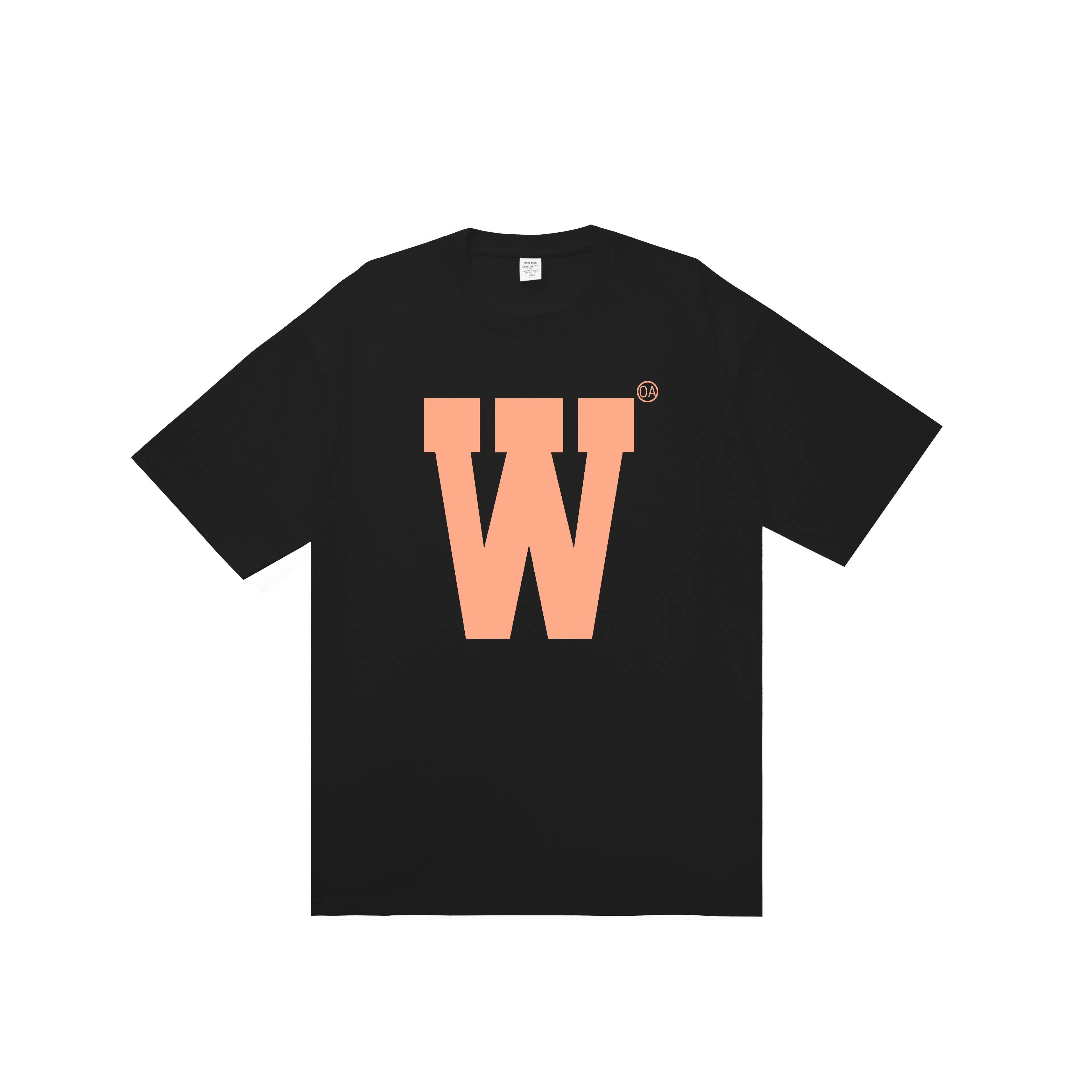 OASISVR 2025Cleanfit260gT