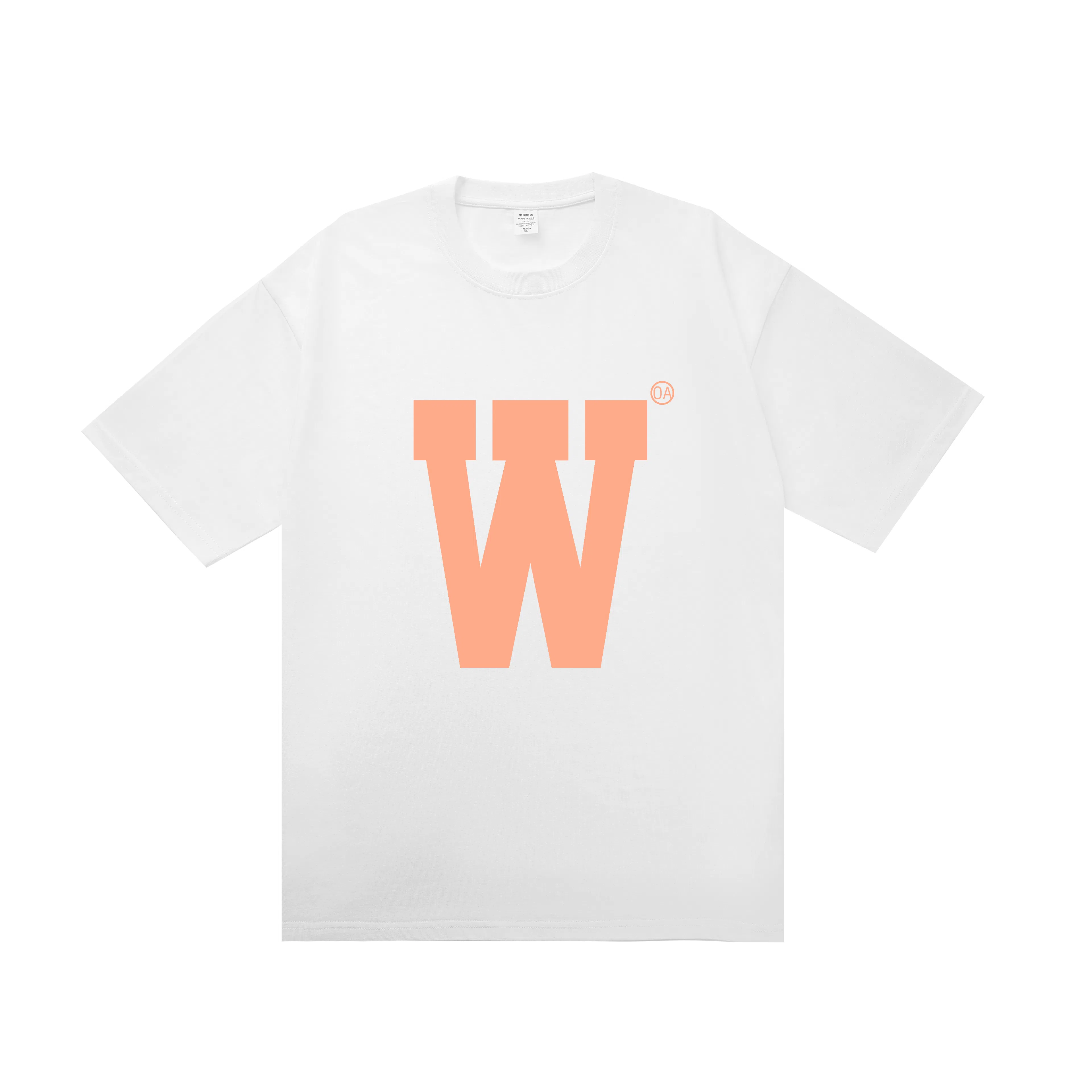 OASISVR 2025Cleanfit260gT