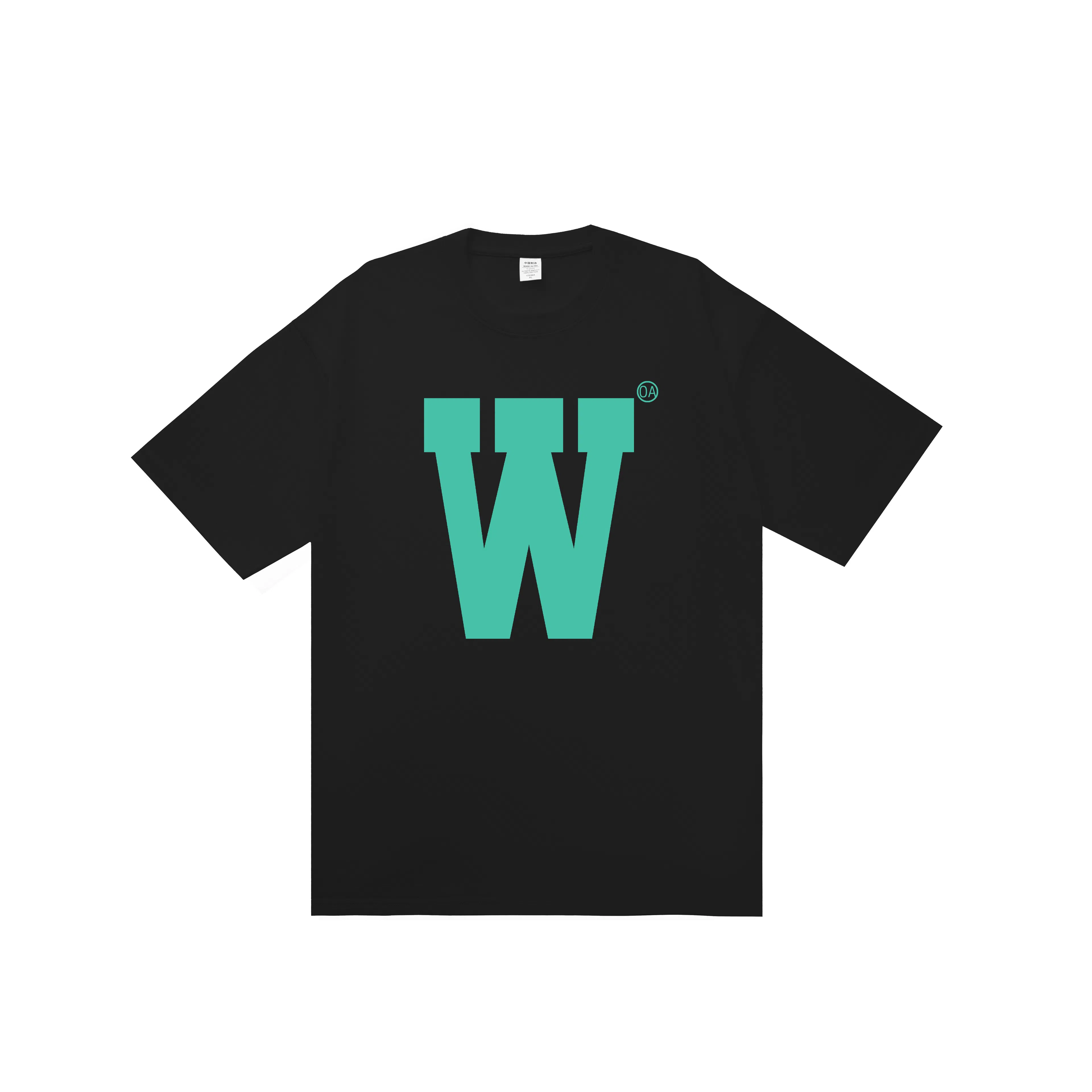 OASISVR 2025Cleanfit260gT