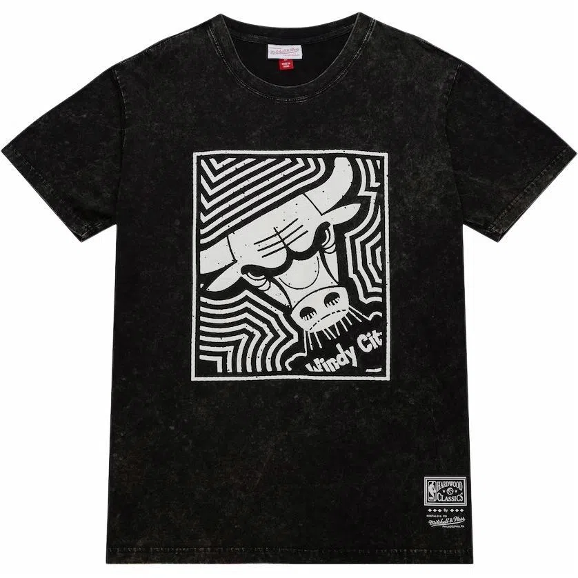 Mitchell Ness x NBA Chicago Bulls Destination Leisure Premium Graphic T
