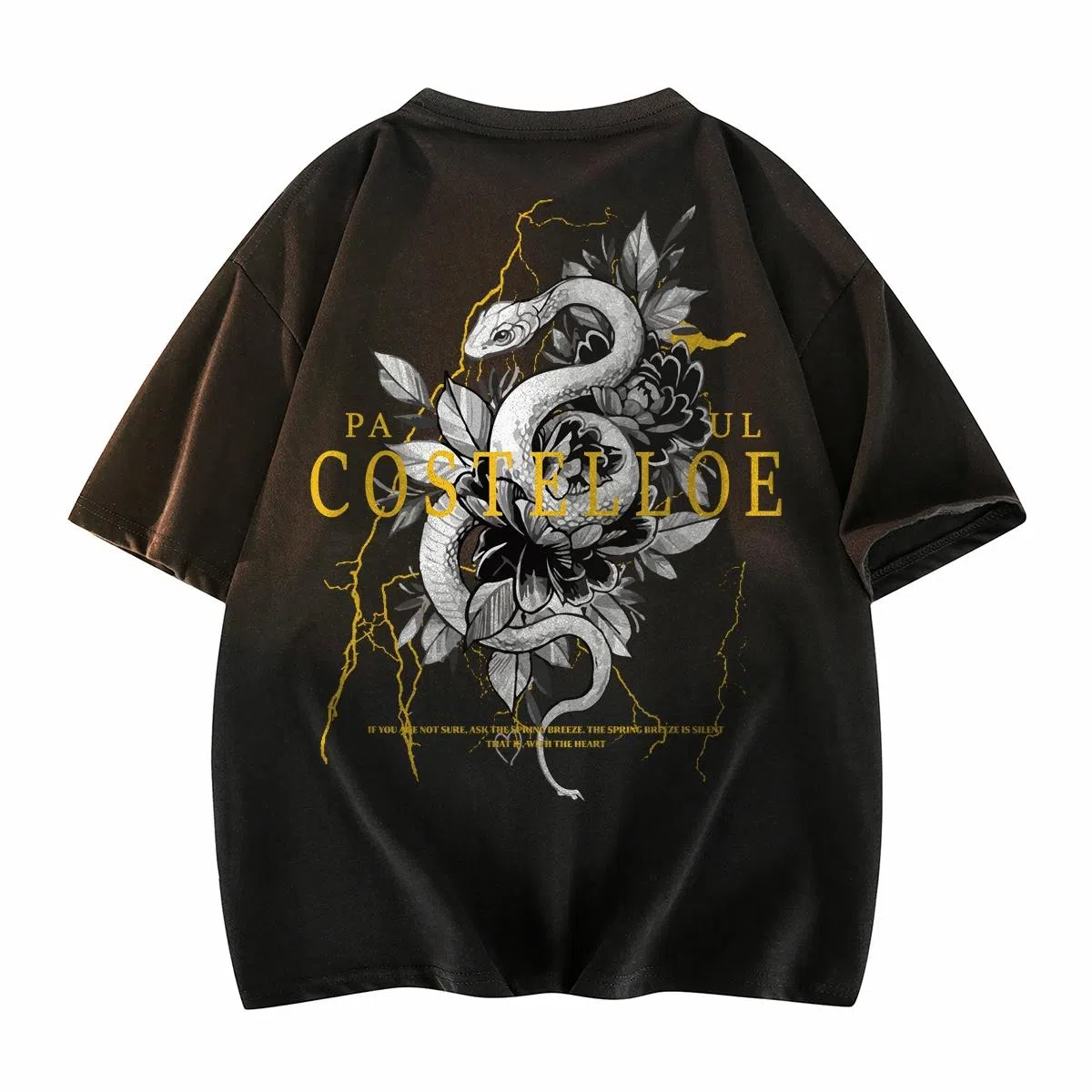 PAUL COSTELLOE T