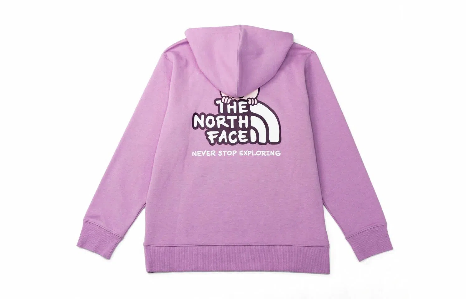 THE NORTH FACE Logo