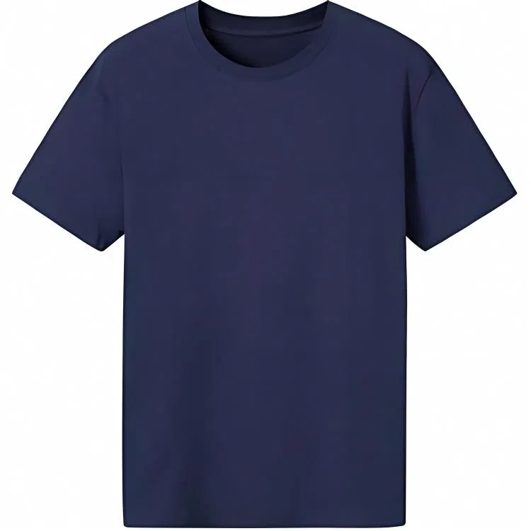 DECATHLON DOMYOS 100 T