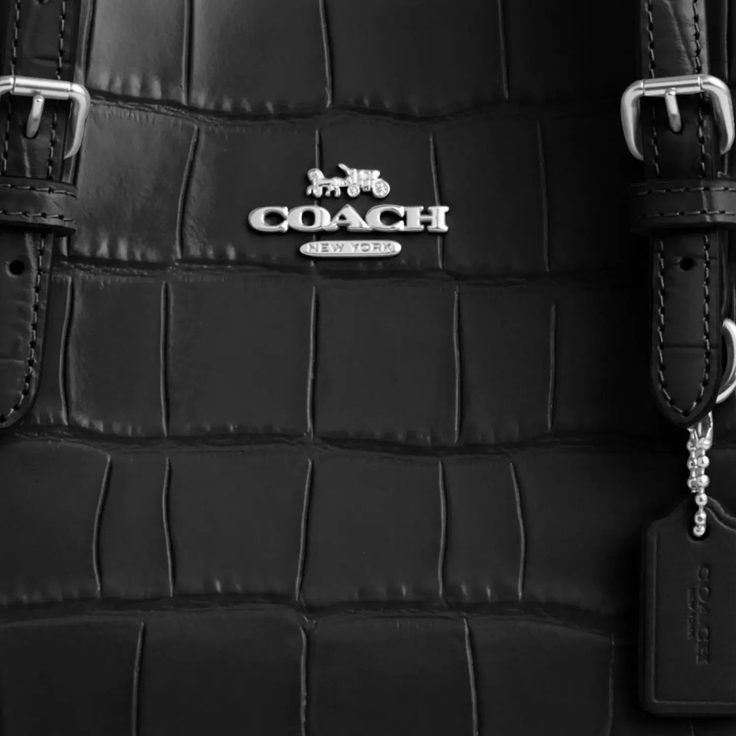 Coach Mollie Tote 25