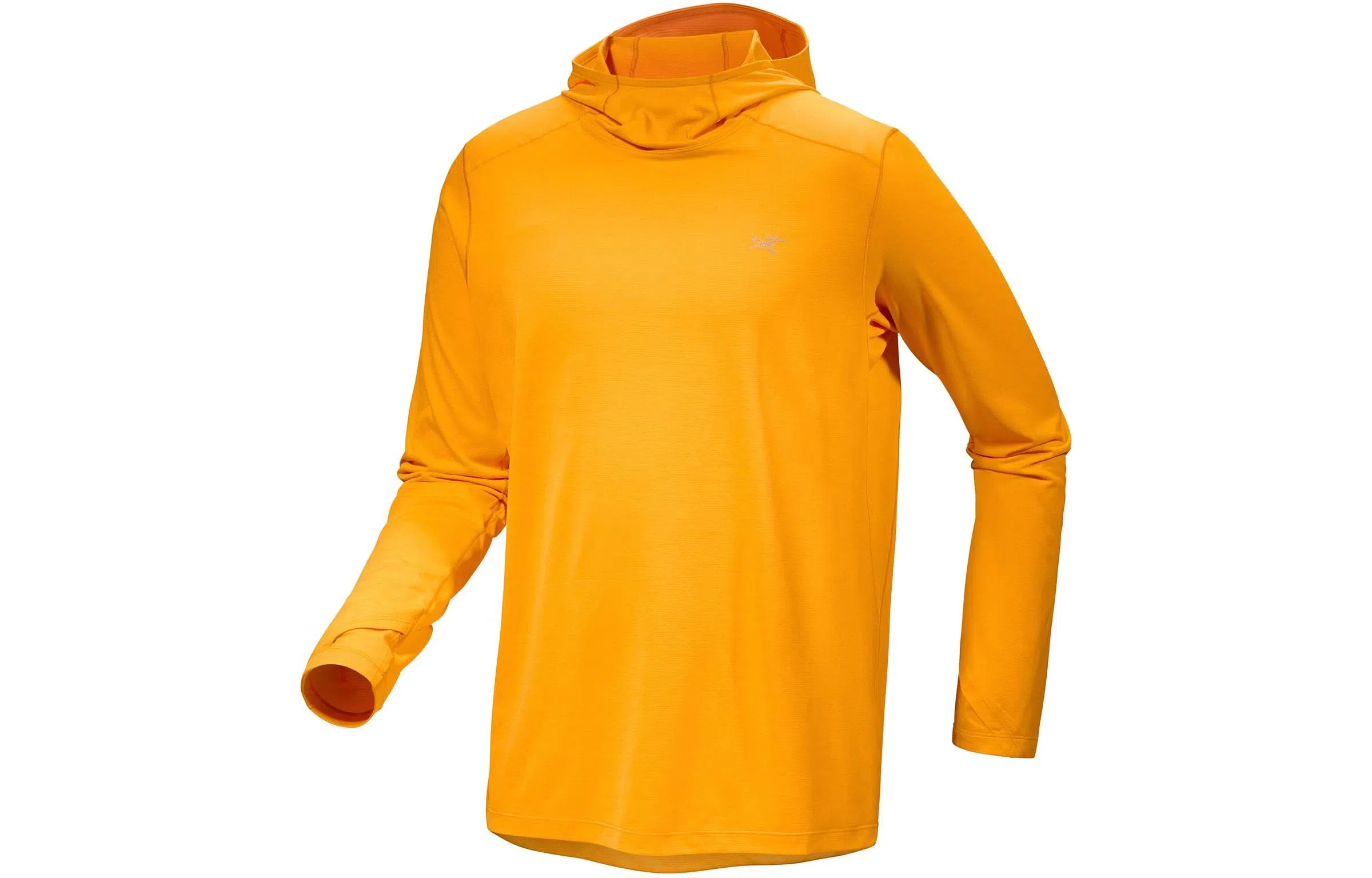 Arcteryx Cormac Hoody