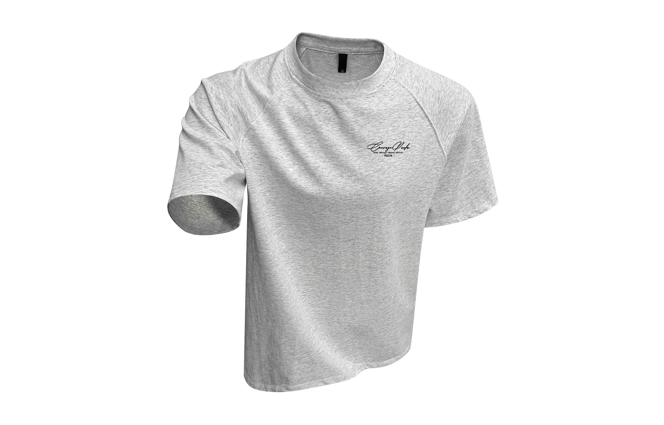 PAEFA cleanfit260LogoT