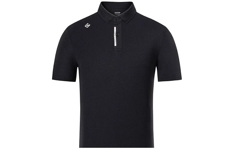 LogoPolo