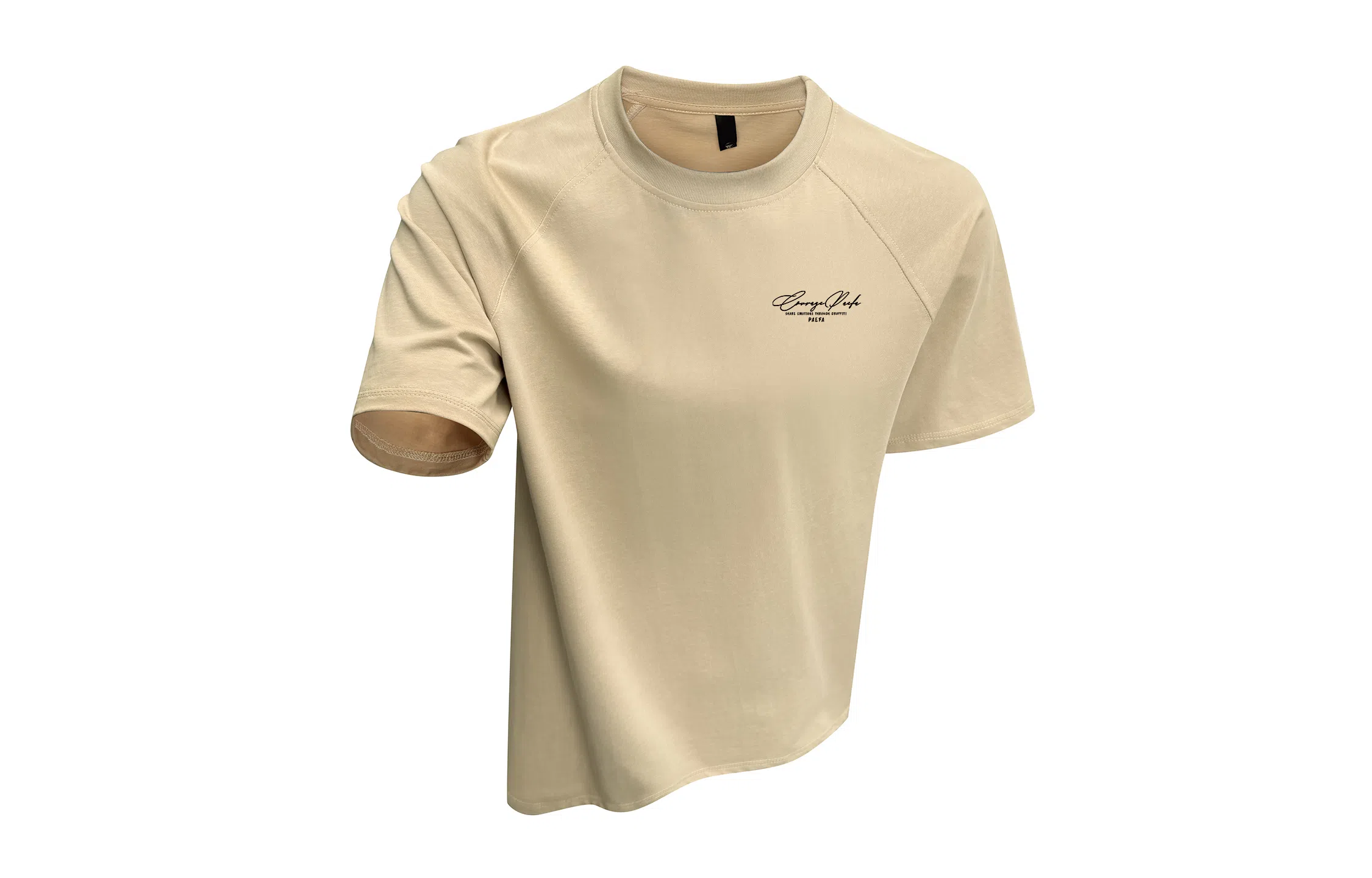 PAEFA cleanfit260LogoT