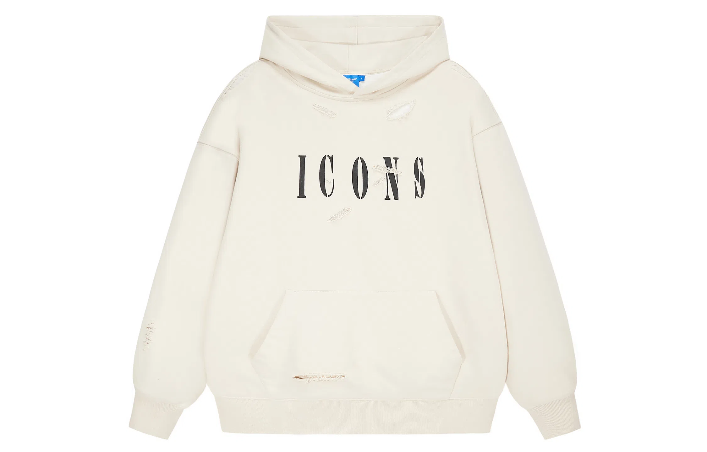ICONS Lab