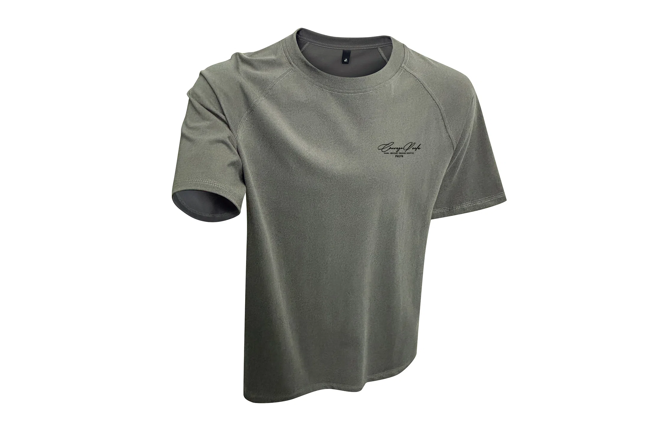 PAEFA cleanfit260LogoT