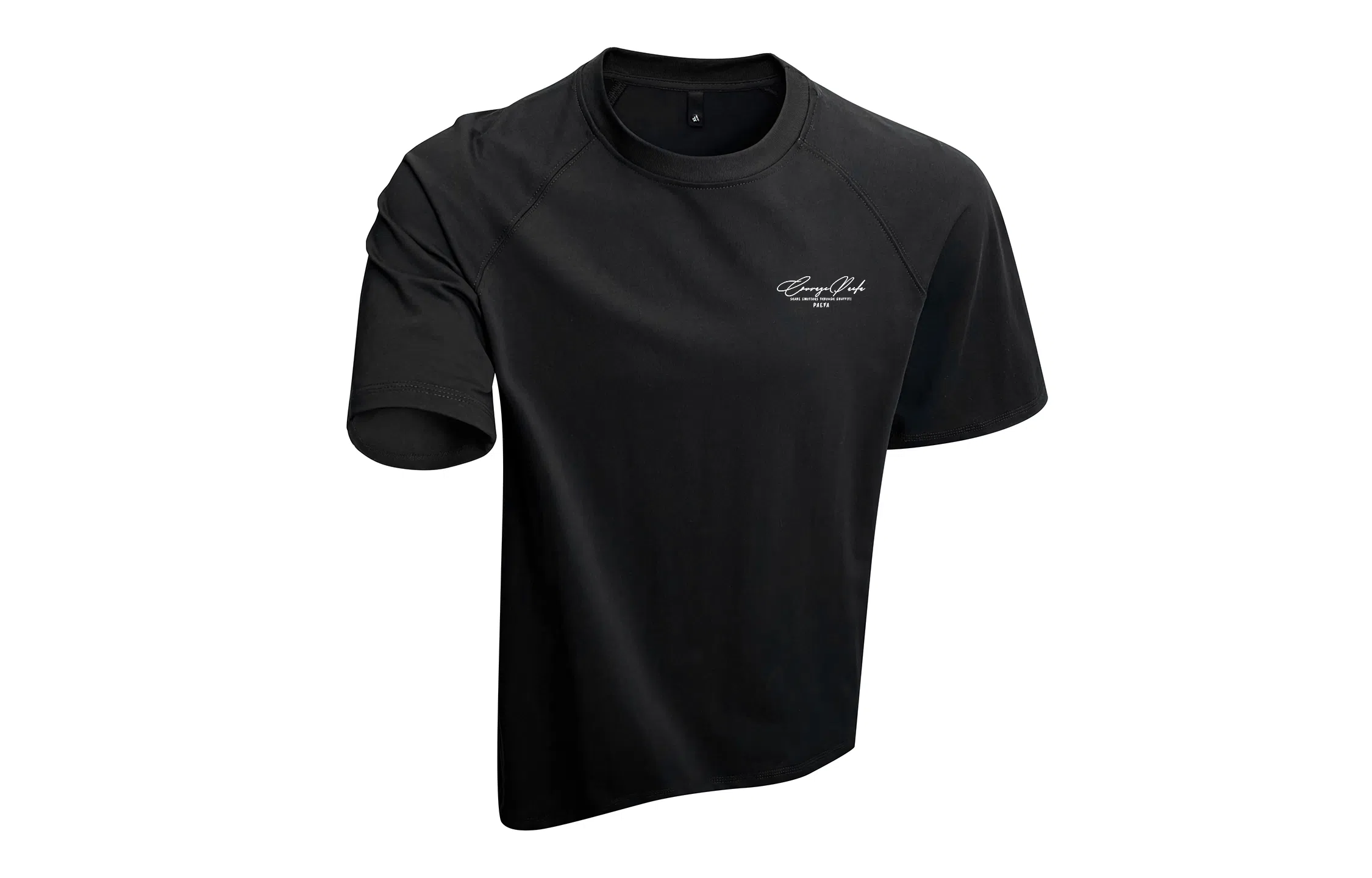 PAEFA cleanfit260LogoT