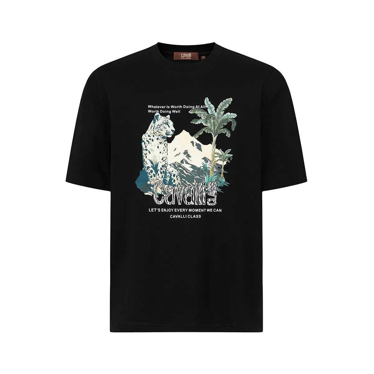 Cavalli Class T