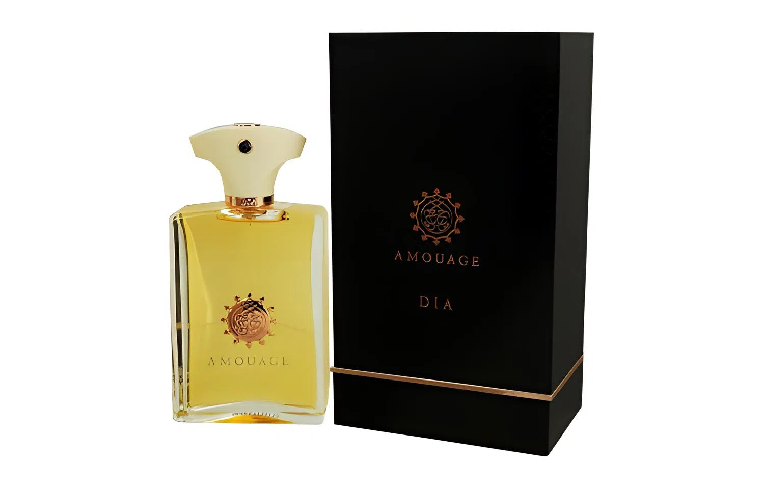 AMOUAGE EDP 100ml
