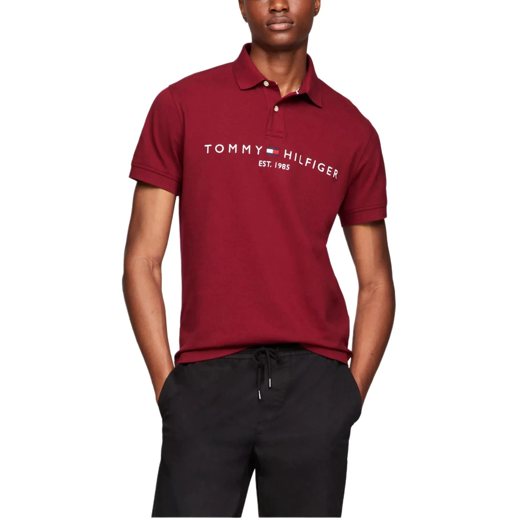 Tommy Hilfiger LOGOPolo