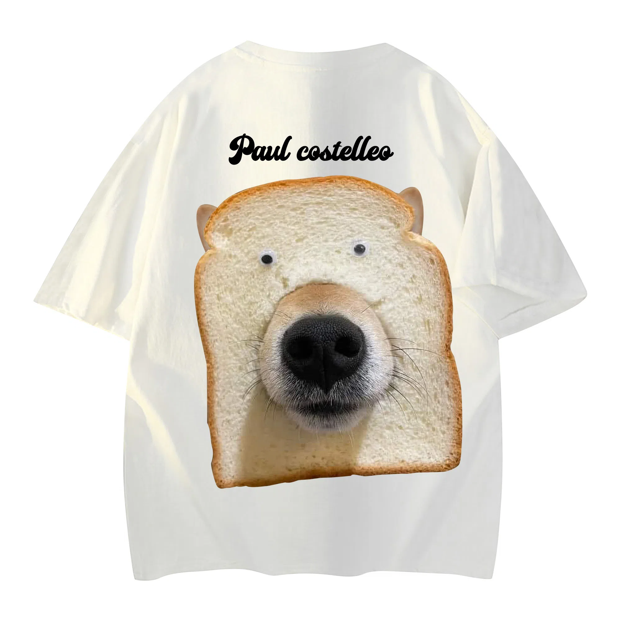 PAUL COSTELLOE T