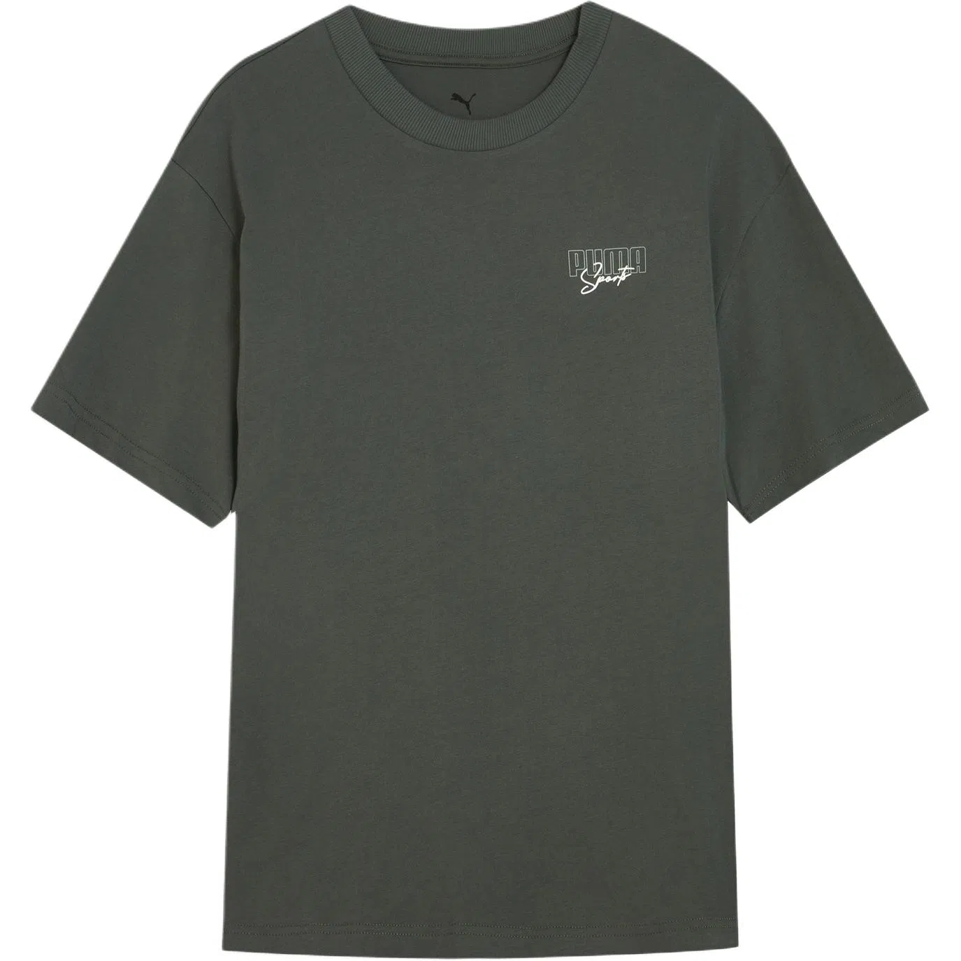 PUMA Elevatedgraphic SS25 T -21