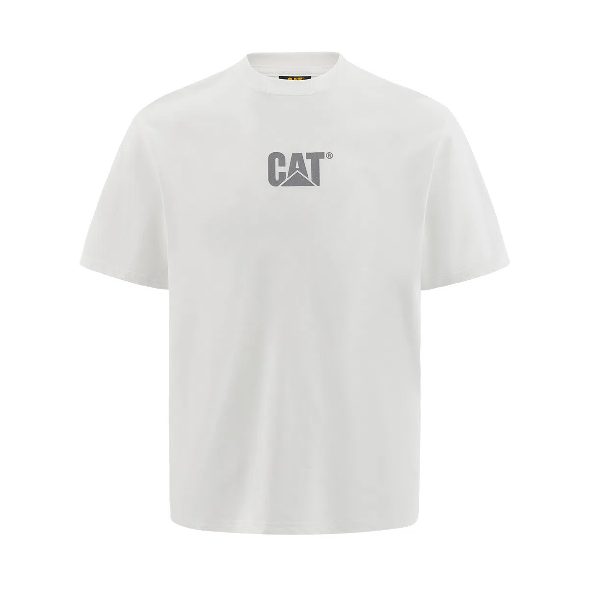 CAT T