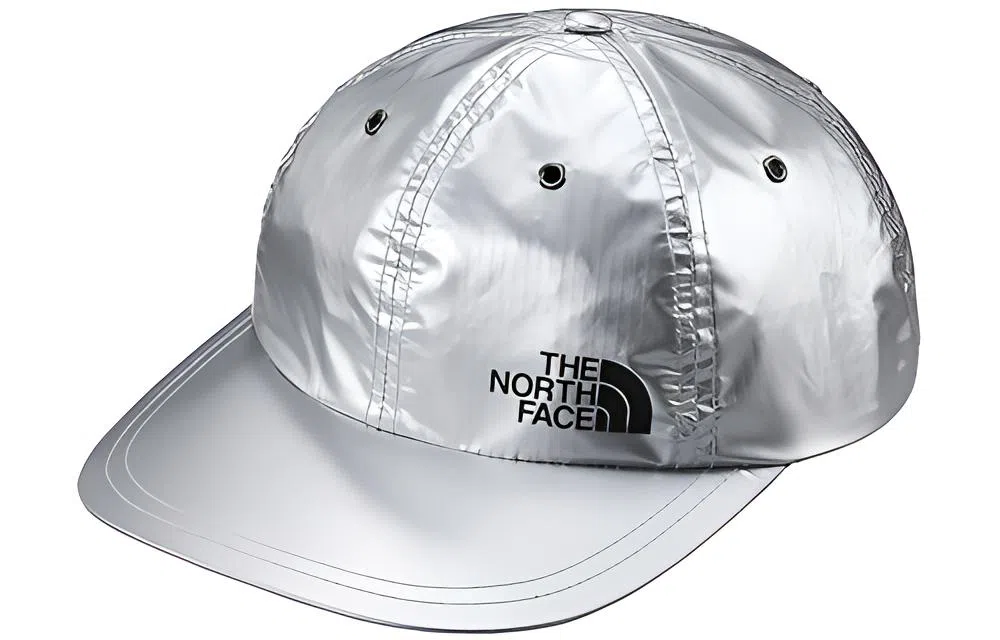 Supreme SS18 The North Face Metallic 6-Panel