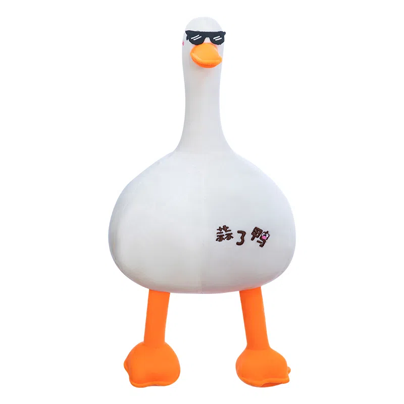 FGHGF 50cm75cm100cm