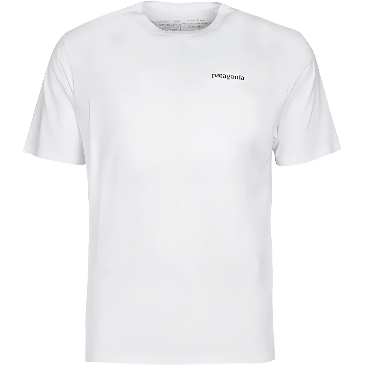 patagonia T