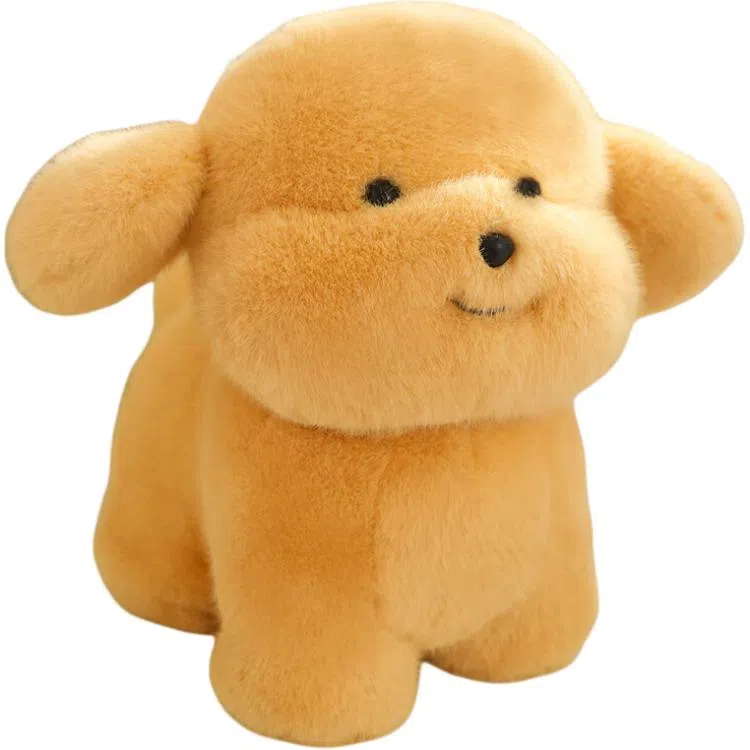 20cm23cm33cm40cm30cm