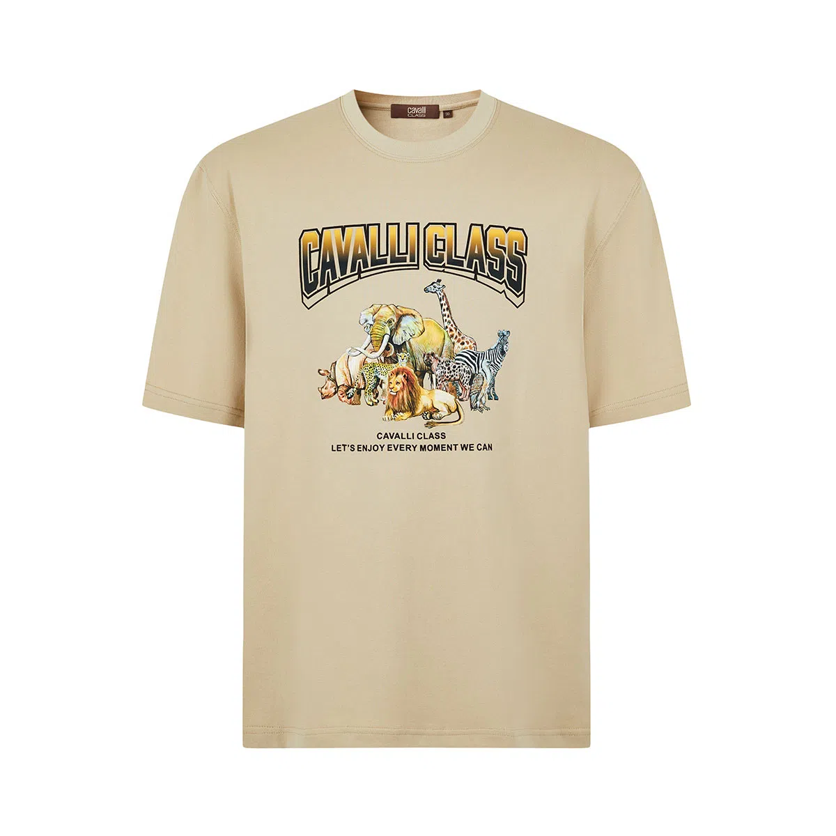Cavalli Class T