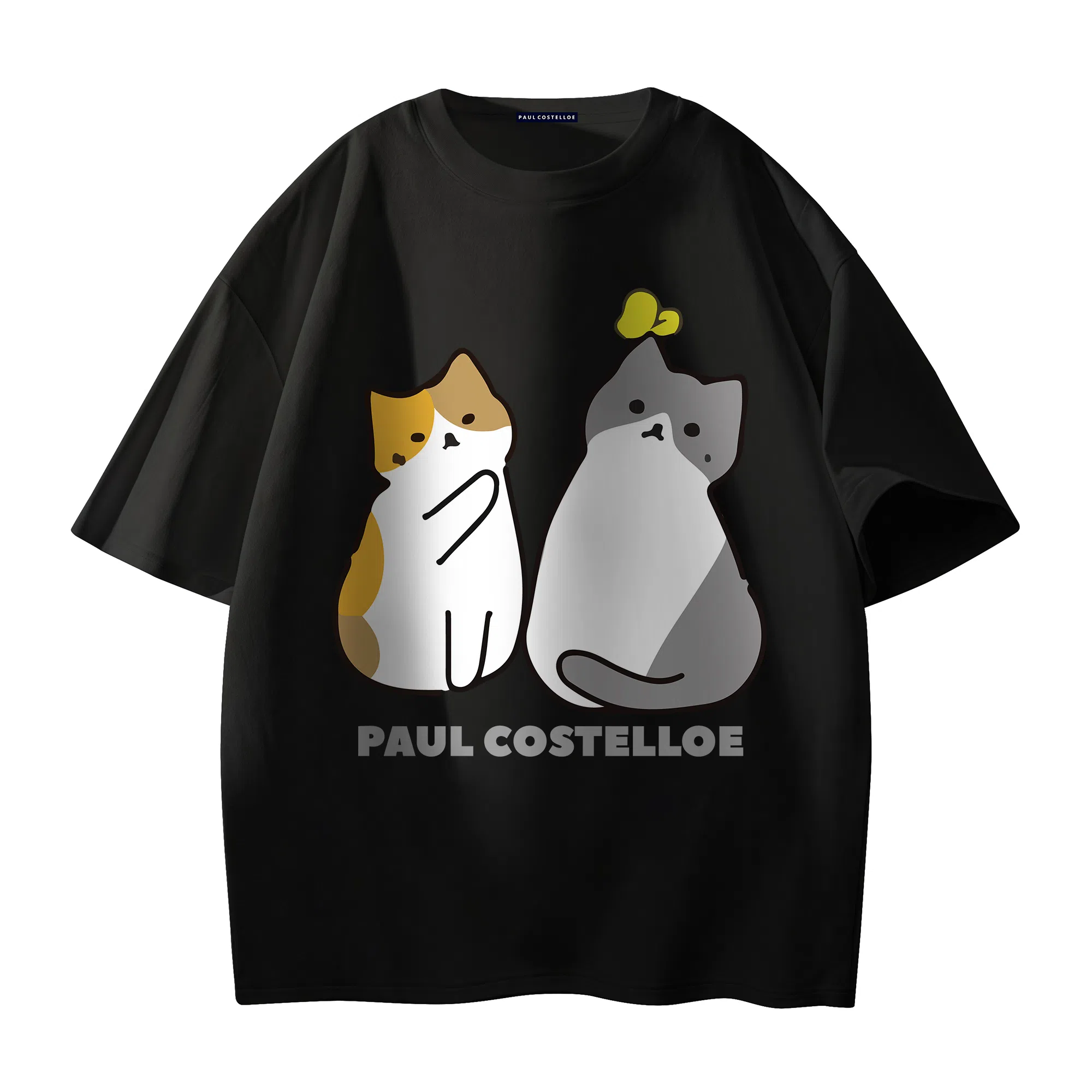 PAUL COSTELLOE logoT