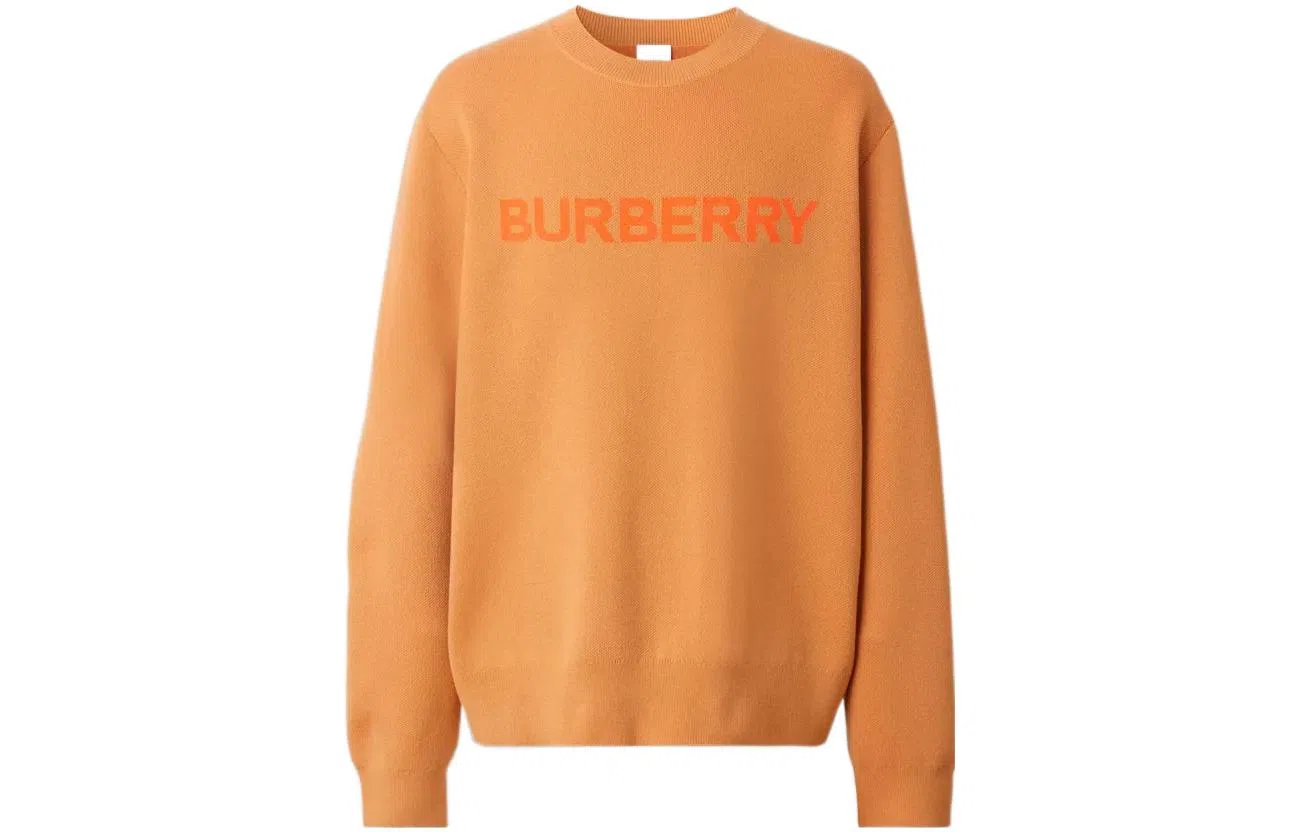 Burberry FW22 Logo