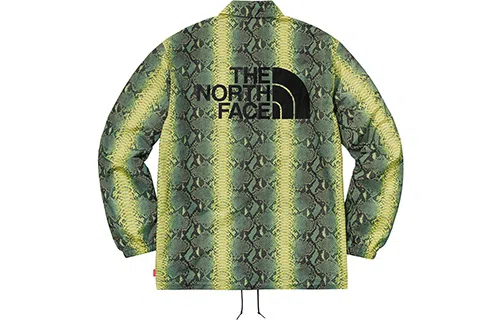 Supreme x The North Face Snake Print Jacket Green