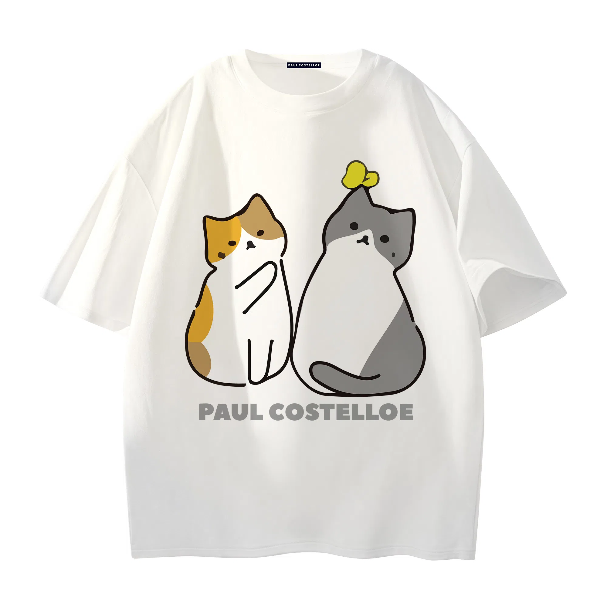 PAUL COSTELLOE logoT