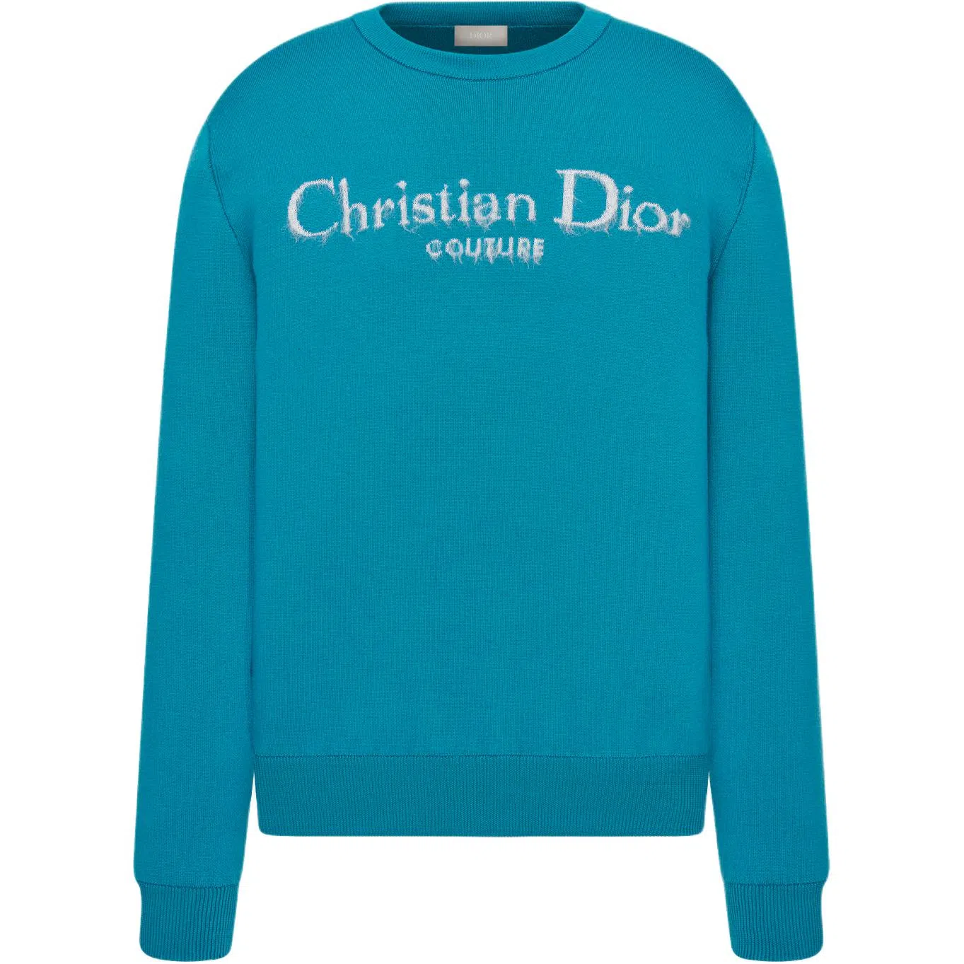 DIOR FW24 Logo