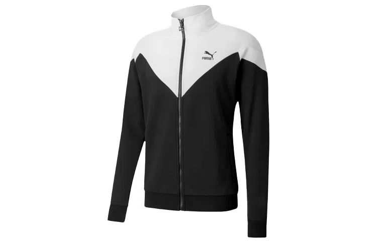 Puma Iconic logo