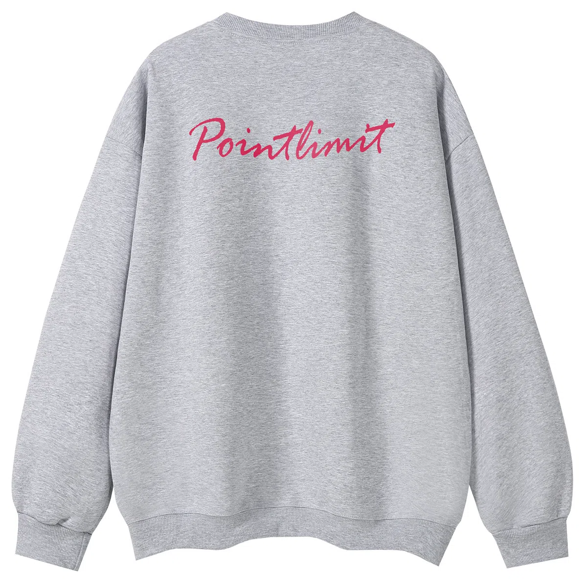 POINTLIMIT Logo