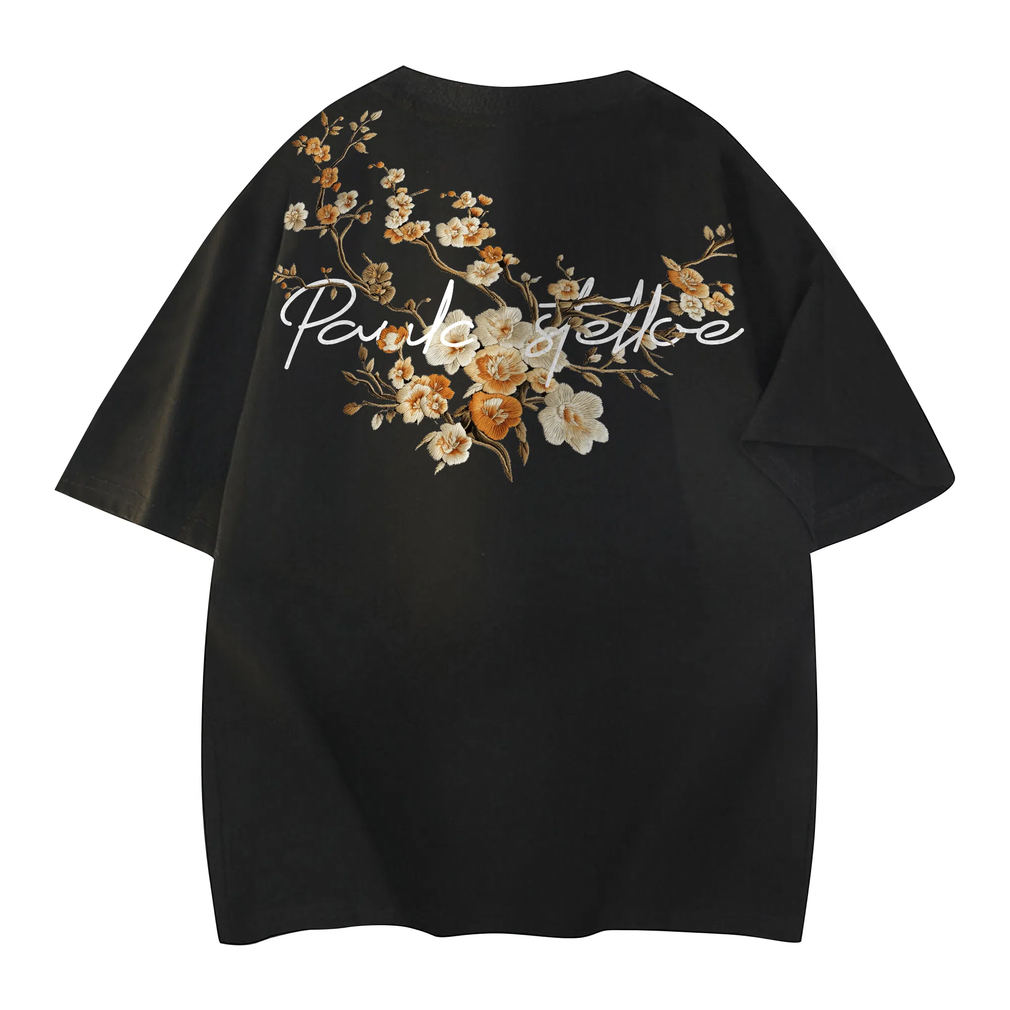 PAUL COSTELLOE T