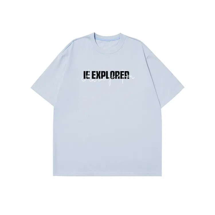 IE logoT