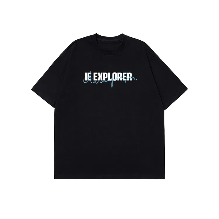 IE logoT