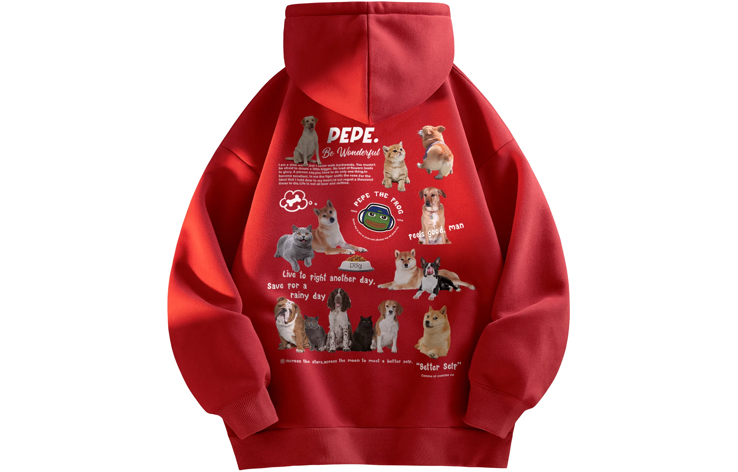 Pepe the Frog Hoodie