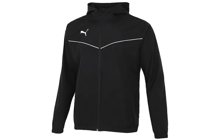 Puma Logo