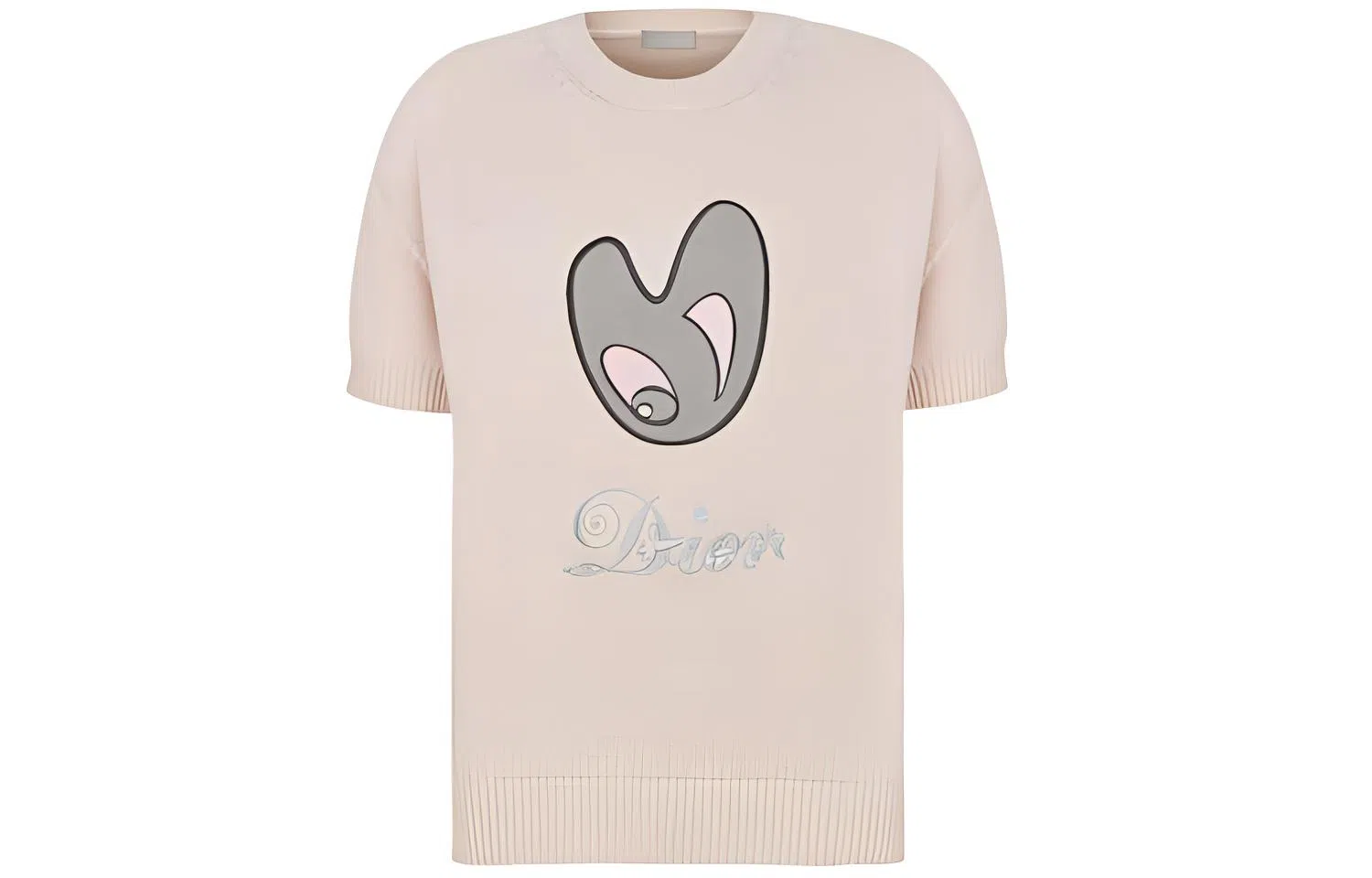 DIOR T