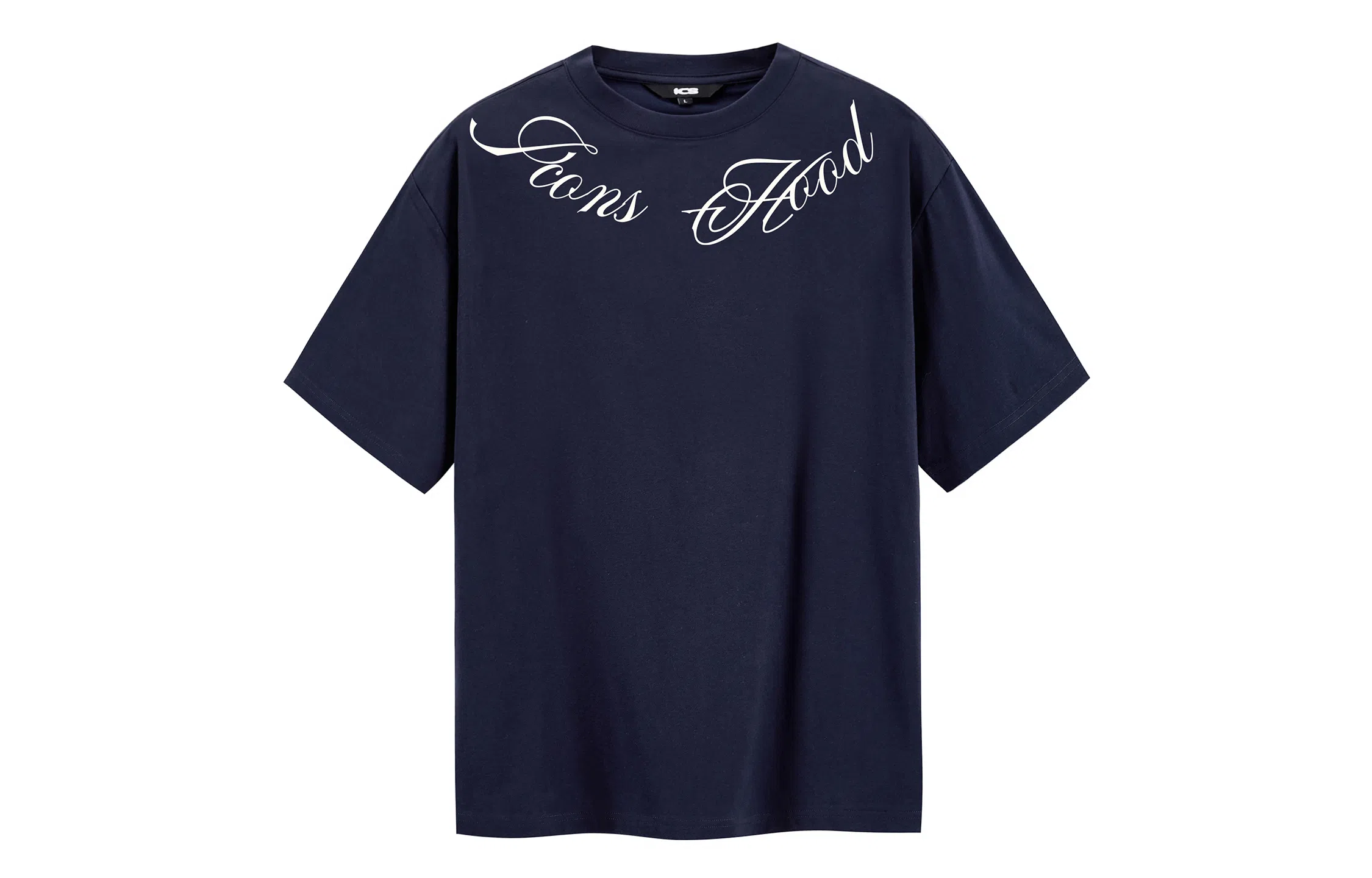 ICONS Lab T