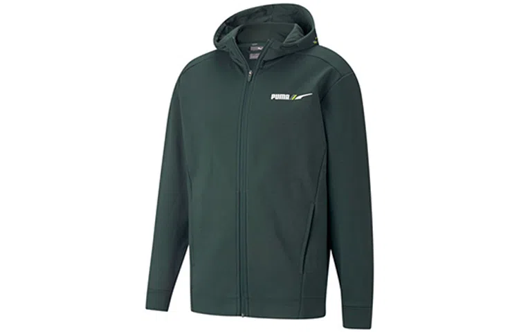 Puma Winterized Logo