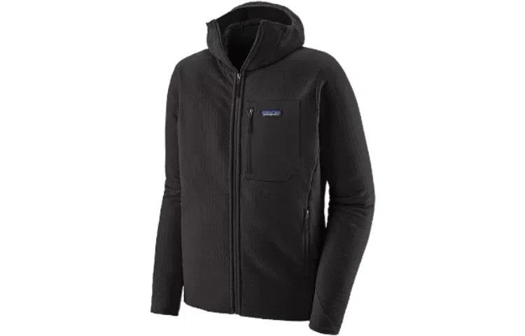 patagonia R2 TechFace Logo